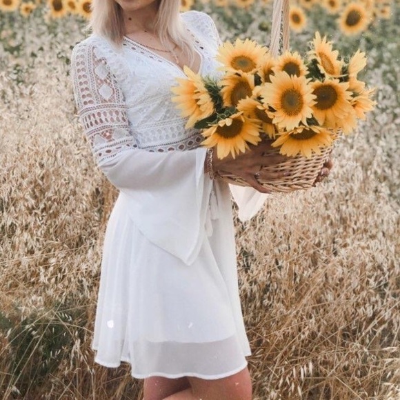 Bohemian Hollow Out Long Sleeve Crochet Lace Dress - Picture 5 of 7